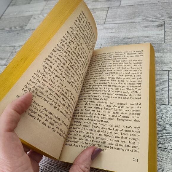 The Mixed Blessing by Helen‎ Van Slyke 1976 Vintage paperback Romance - Picture 2 of 13